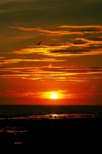 Voir le détail de cette oeuvre: Twilight (01)